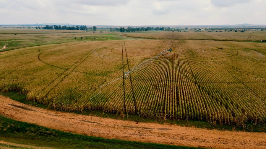 8 Bedroom Property for Sale in Bloemfontein Rural Free State